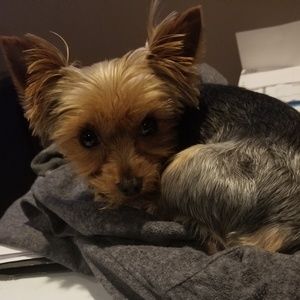 Meet your Posher, Anna